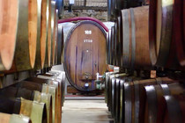 Weinfässer inder Bodega von Jalon